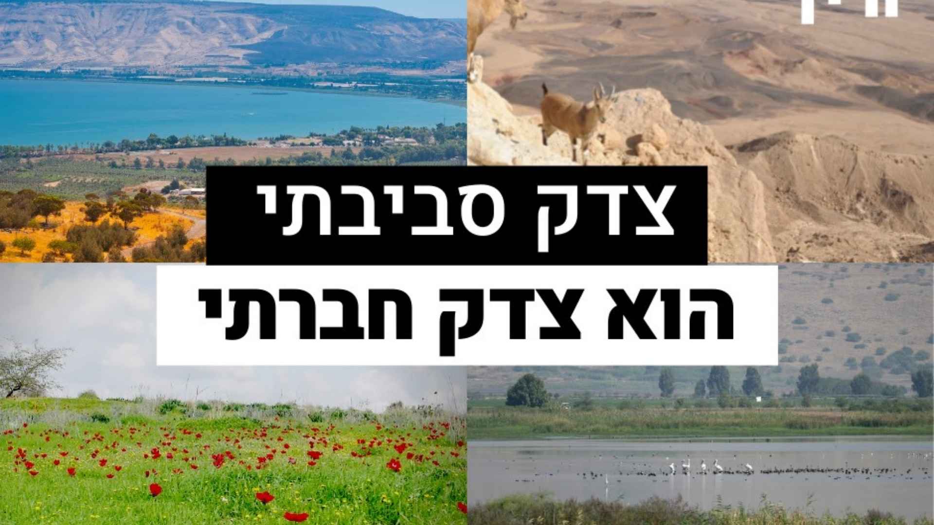 צדק סביבתי הוא צדק חברתי - אדם טבע ודין