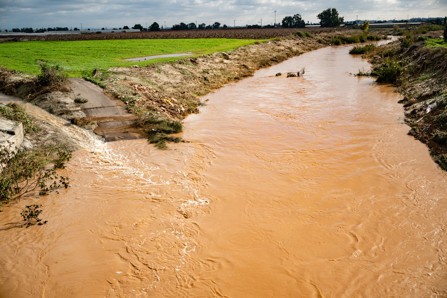 זרימת מים בנחל באזור חקלאי