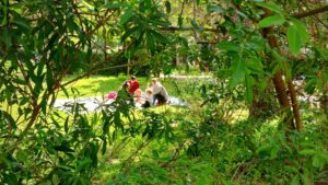 אנשים וילדים בפיקניק בגינה עירונית עם צמחייה