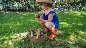 ילדה בגינה עם סל ירקות