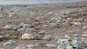 פסולת פלסטיק על חוף הים