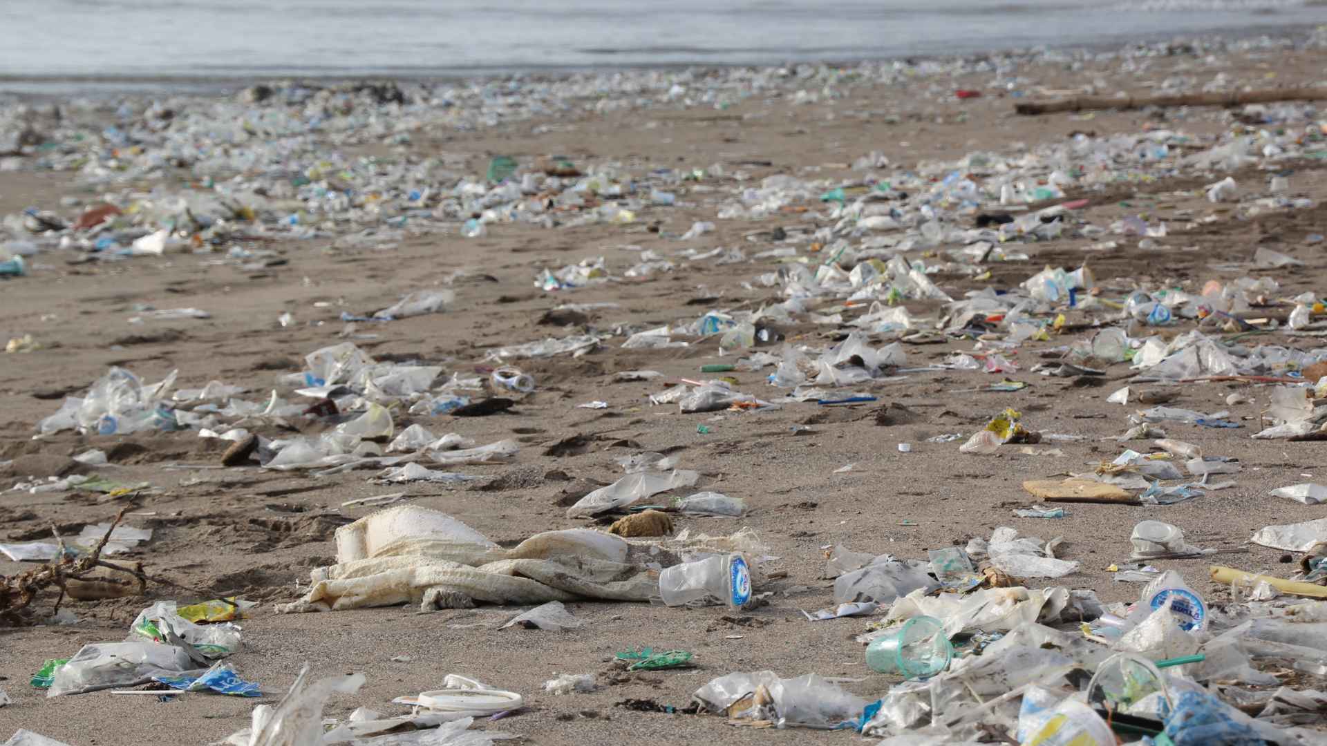 פסולת פלסטיק על חוף הים