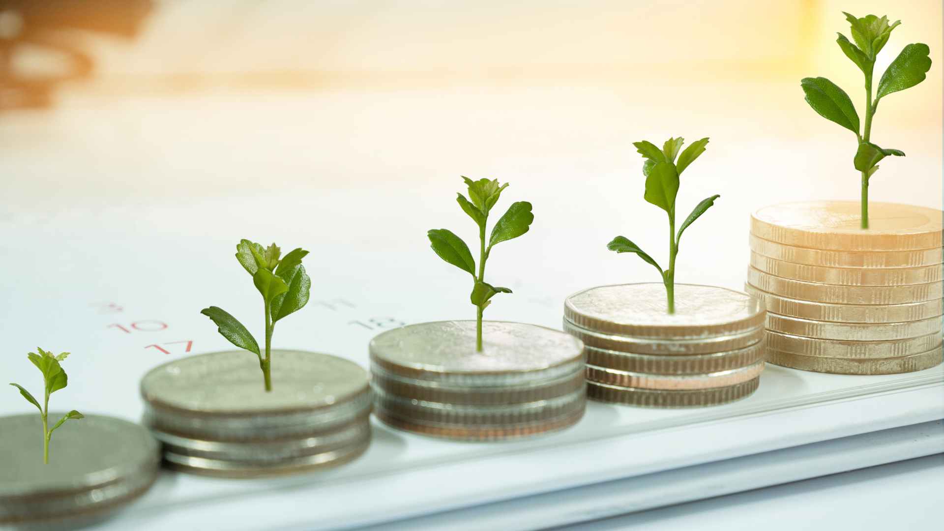 Image of growing piles of coins sprouting seedlings