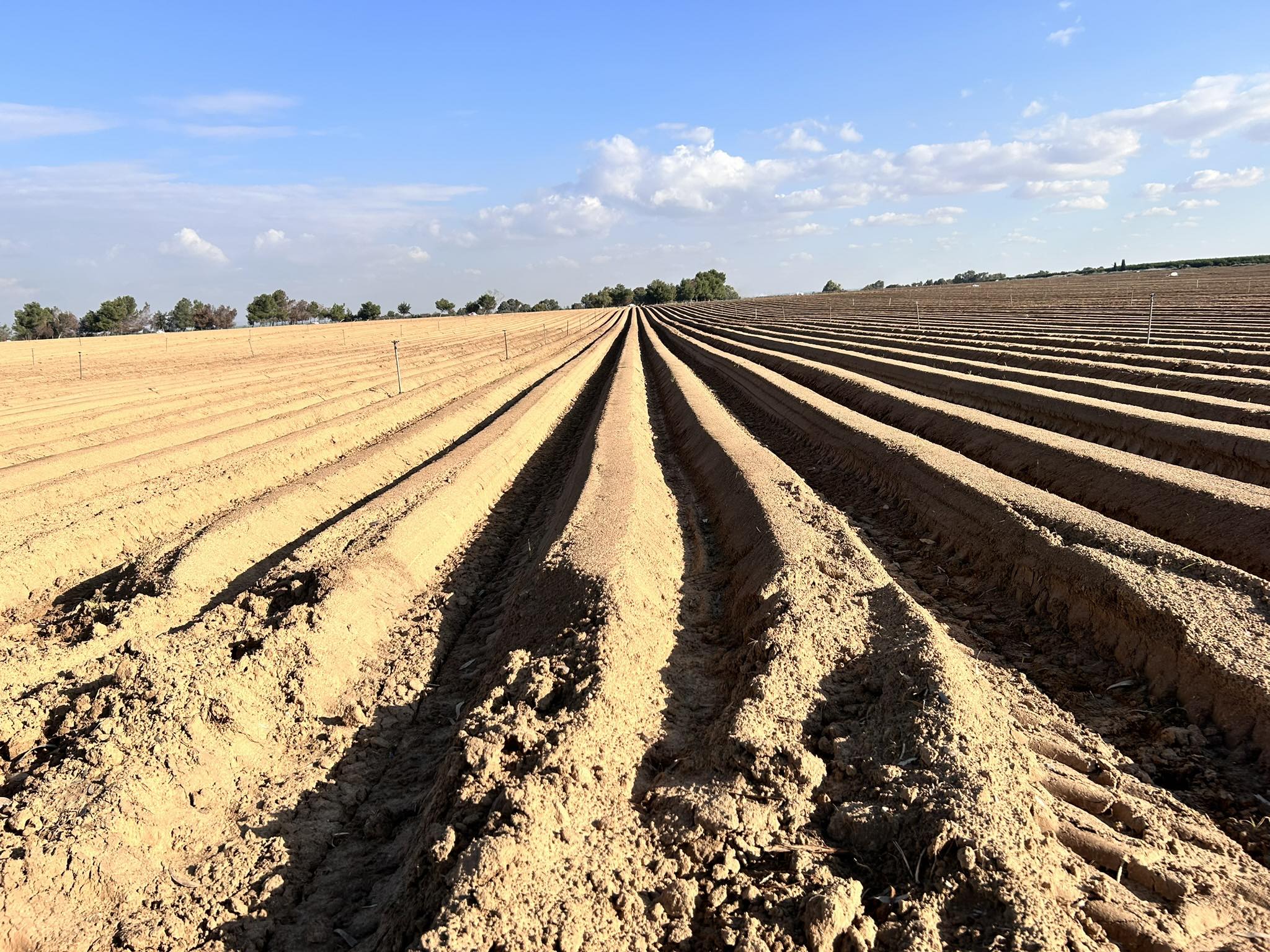 A field prepared for agriculture neighboring where the Nova festival took place, Kibbutz Re'im, Jan '24.