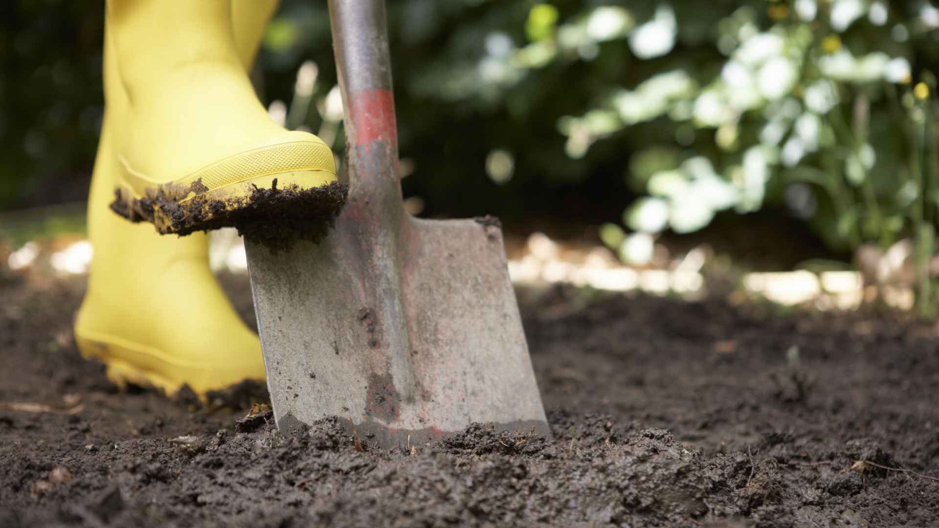 A booted foot pushing down on a spade in soil