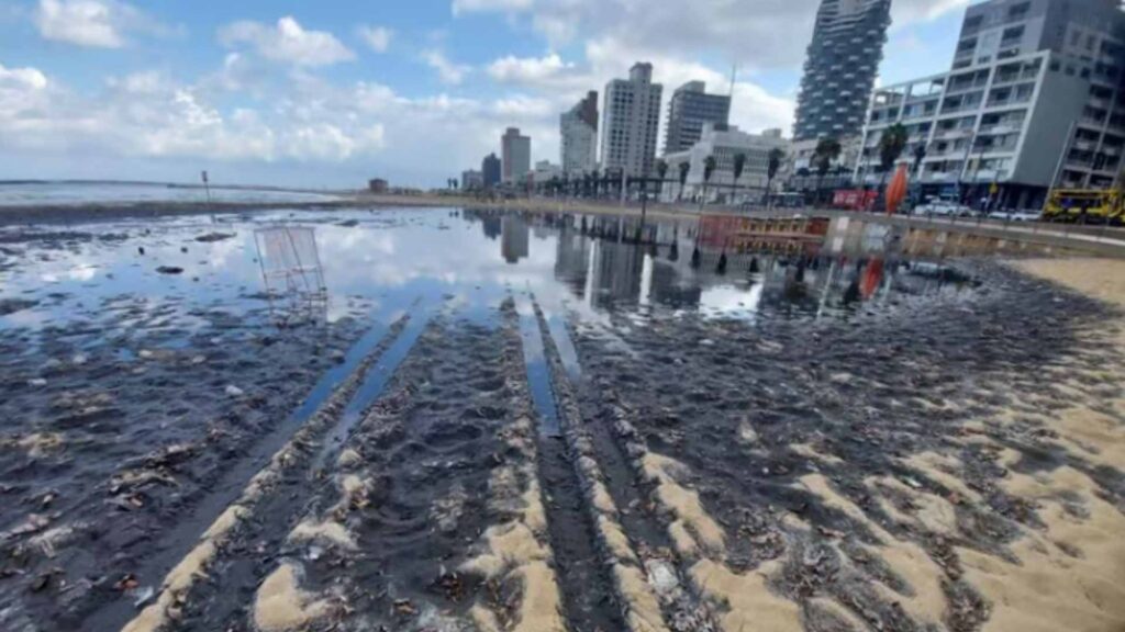 First rain flushed sewage onto Frishman beach, Tel Aviv