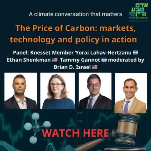 The price of carbon: markets, technology and policy in action - watch now