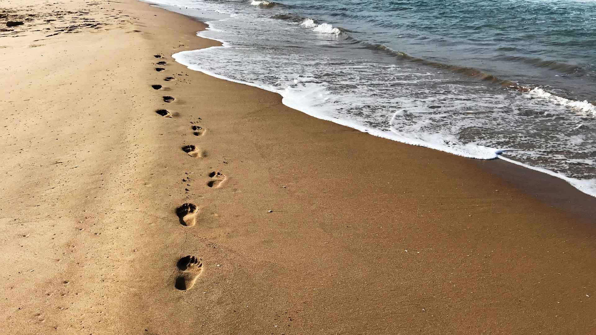 עקבות בחוף הים