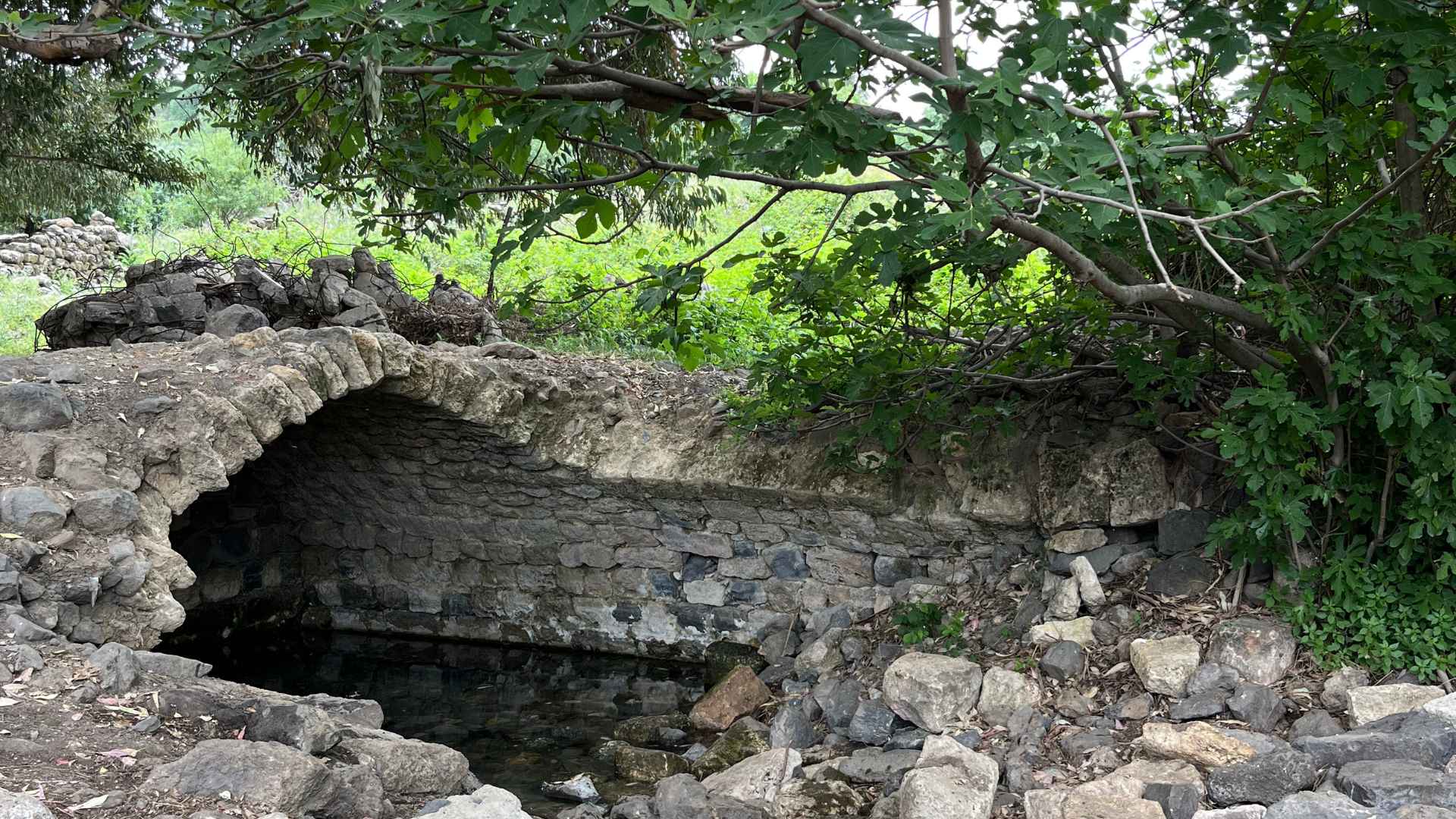עין פית
