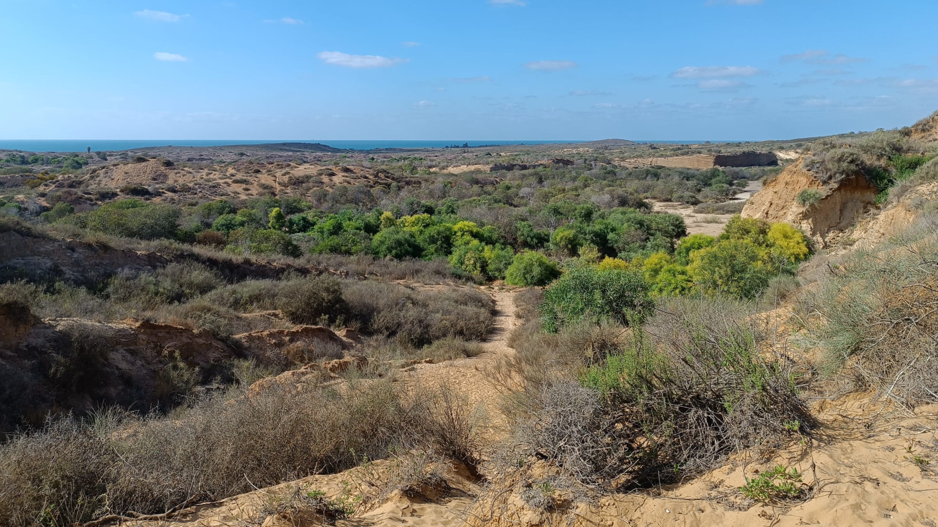 Ashkelon coast